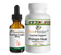 Trachea Cough Elixir + Trachea Support: Phlegm Heat