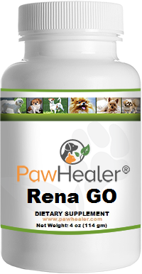 Rena GO: Glandular Organs (4 oz Powder)
