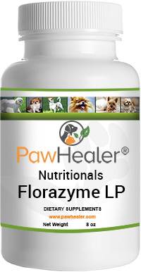 Florazyme LP: Digestive Enzymes