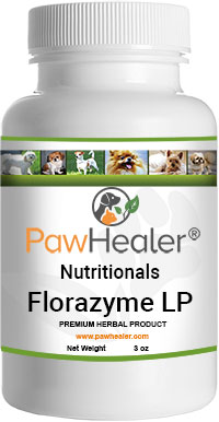 Florazyme LP: Digestive Enzymes (3 oz Powder)