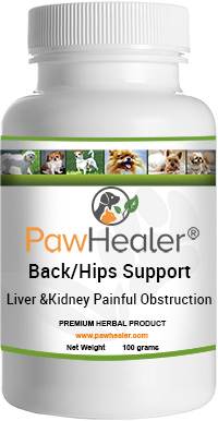 Back/Hips Support for Liver & Kidney Painful Obstruction