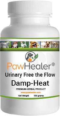 Urinary Free the Flow: Damp-Heat Formula