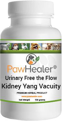 Urinary Free the Flow: Kidney Yang Vacuity Formula