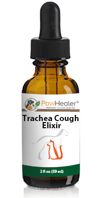 Trachea Cough Elixir