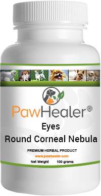 Round Corneal Nebula